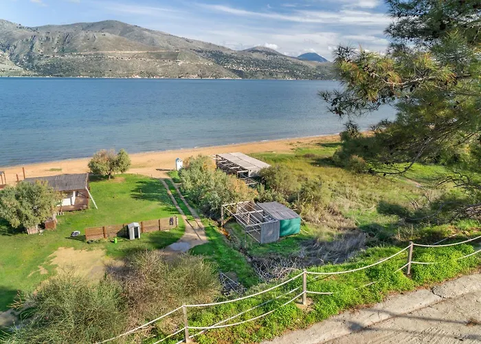 Euphoria Ликсури