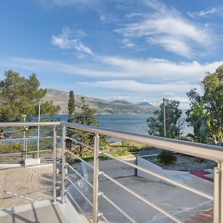 Apartment Euphoria *